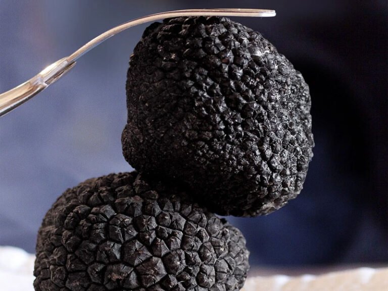 The Magic of Truffle in Italian Cuisine