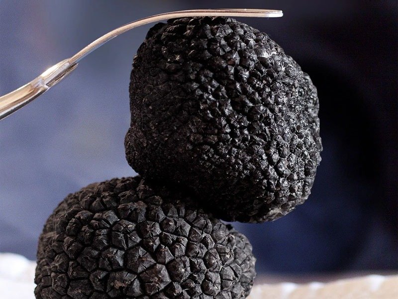 A pure Italian truffle (Tuber Melanosporum), freshly harvested, showcasing its dark, textured exterior and unique, earthy character-a prized delicacy known for its intense aroma and subtle, chocolatey flavor