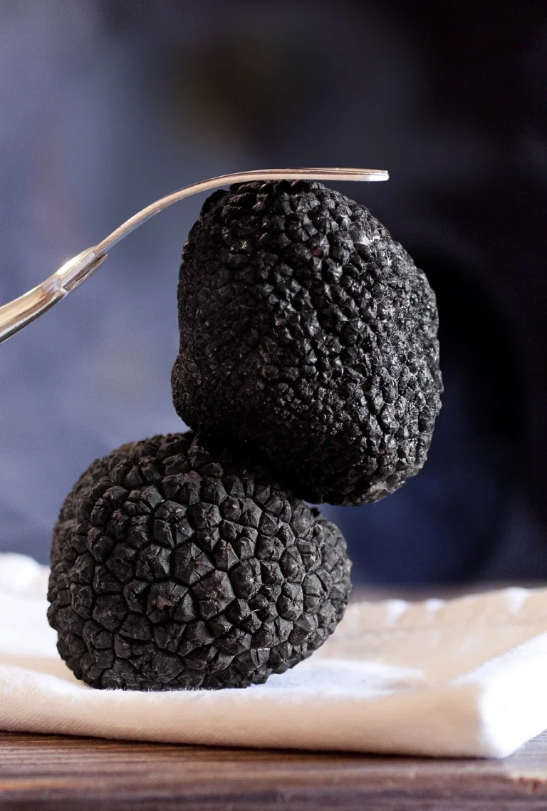 The Magic of Truffle in Italian Cuisine